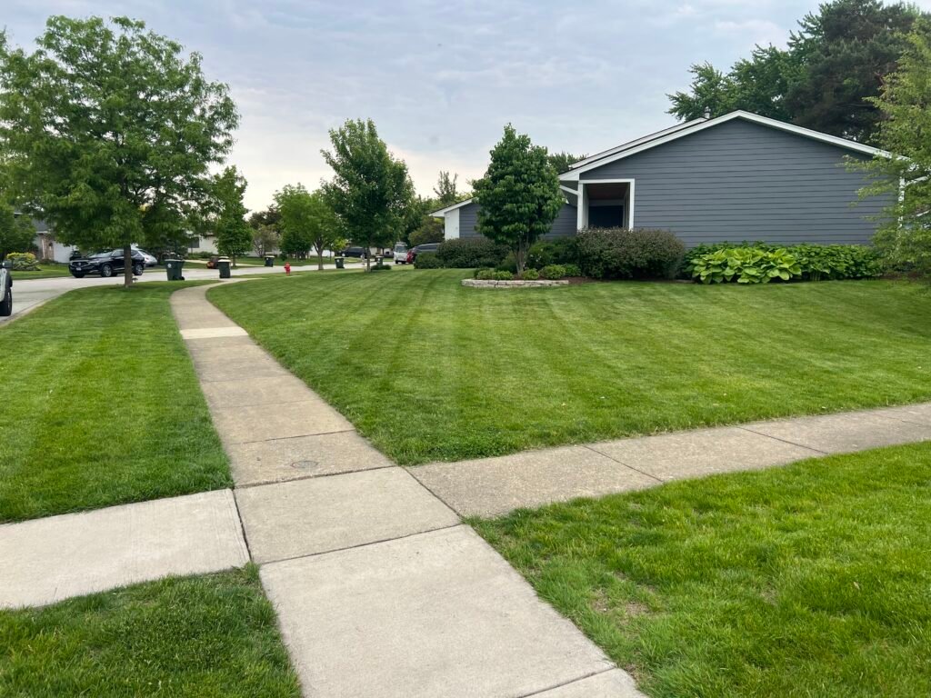 Lawn Mowing in Elk Grove Village