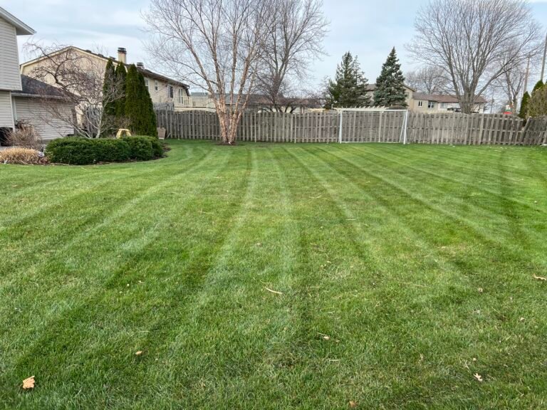 Lawn mowing in Elk Grove