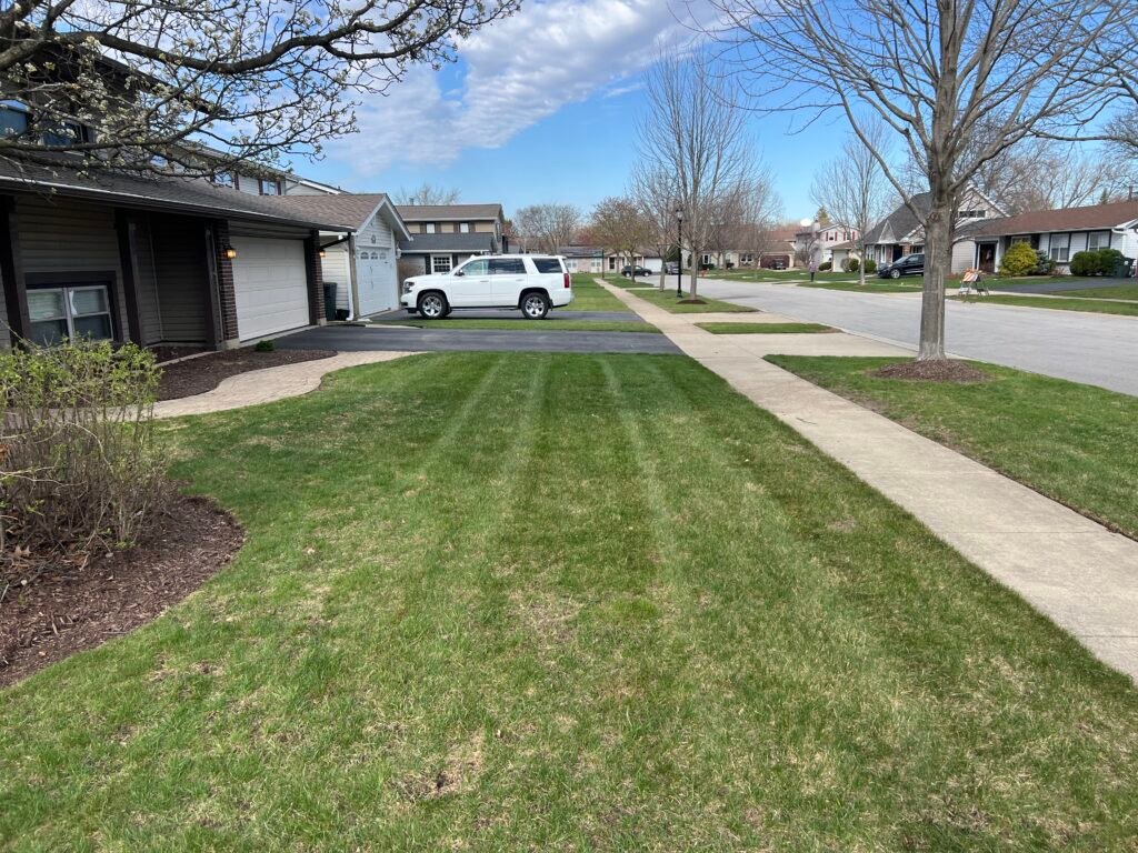 Lawn mowing in Elk Grove Village, Spring clean ups, aeration