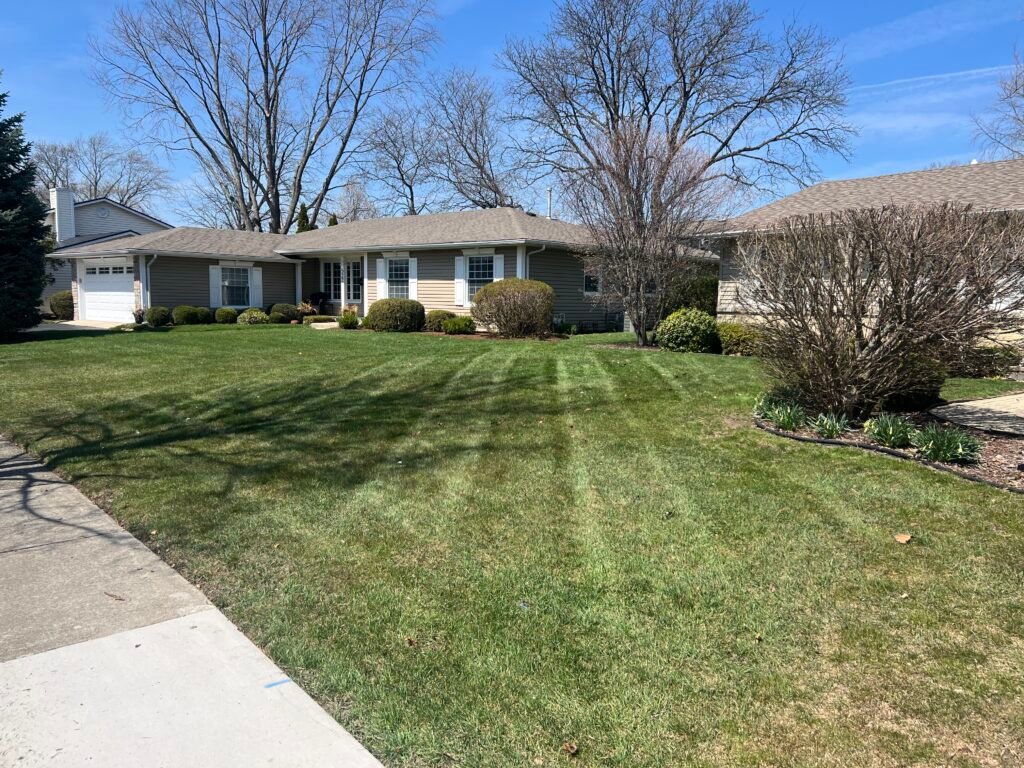 Lawn mowing in Elk Grove Village, Spring clean ups, aeration