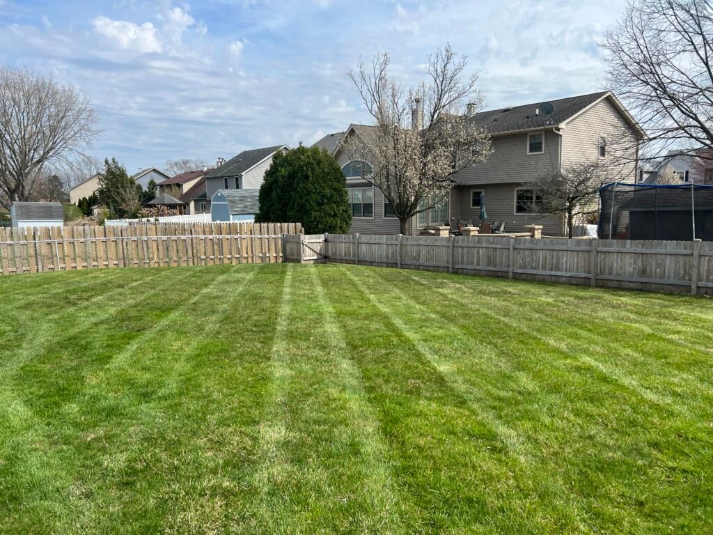 Lawn mowing in Elk Grove Village, Spring clean ups, aeration