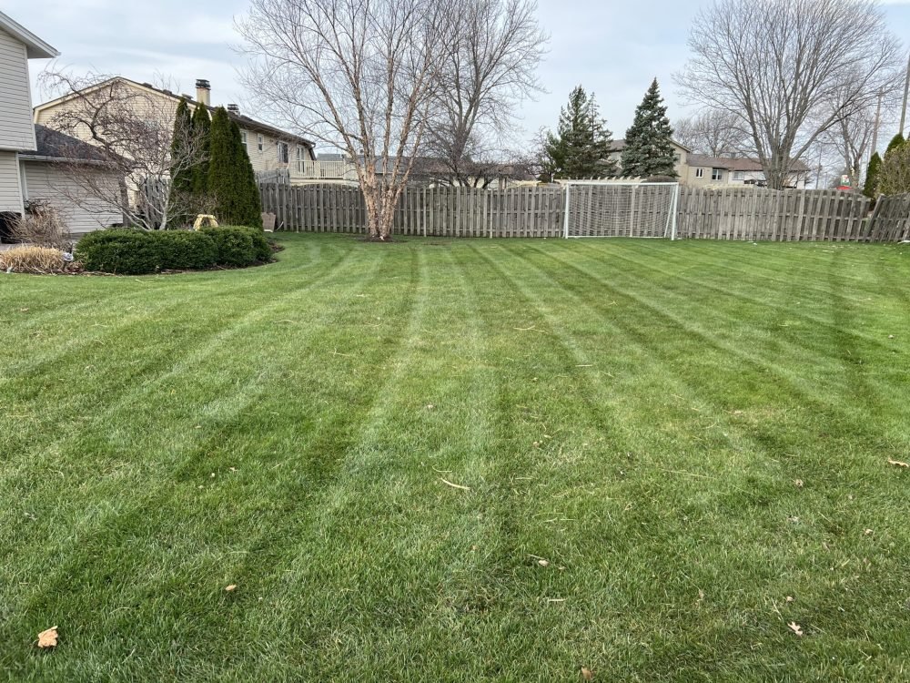 Lawn mowing in Elk Grove